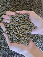 TRAWOKULKI DLA KONI Z TRAW Z KRAINY JEZIOR SĘPÓLNO KRAJEŃSKIE 15 KG