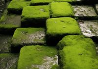 Plakat 42x29,7cm Zielona Mozaika