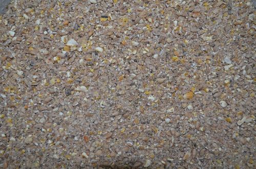 Pasza dla kur niosek sypka NIOSKA 25 kg na Arena.pl