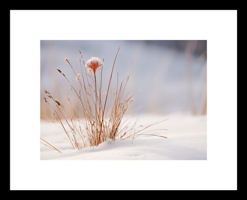 Plakat 18x13cm Zima w Detalach na Arena.pl