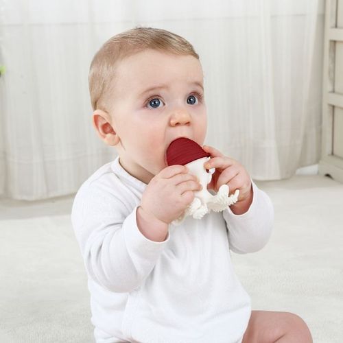 Gryzak ośmiornica curry MOMBELLA na Arena.pl