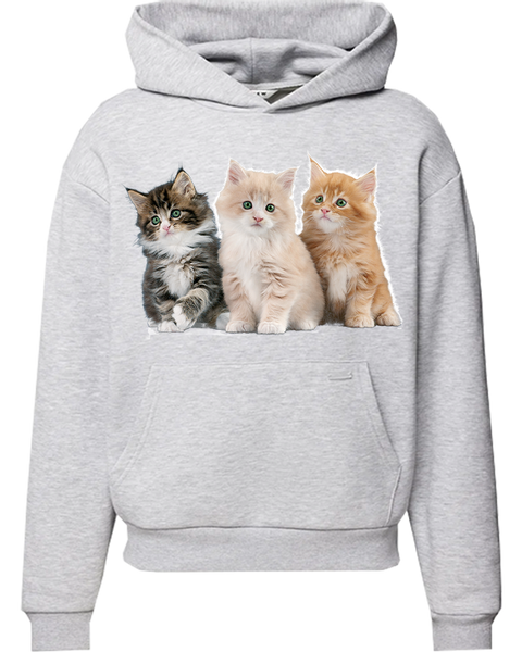 Bluza z kapturem z Kotami zdjęcie 1