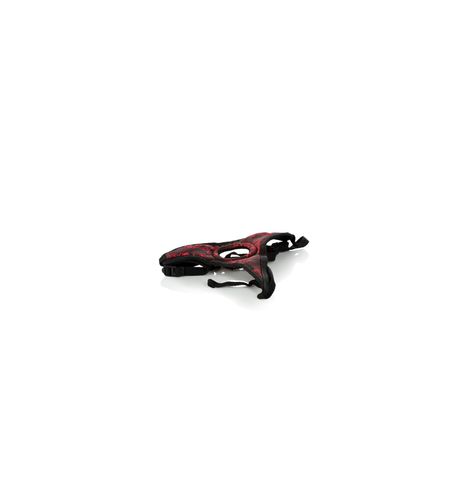 Scandal Thong Harness na Arena.pl