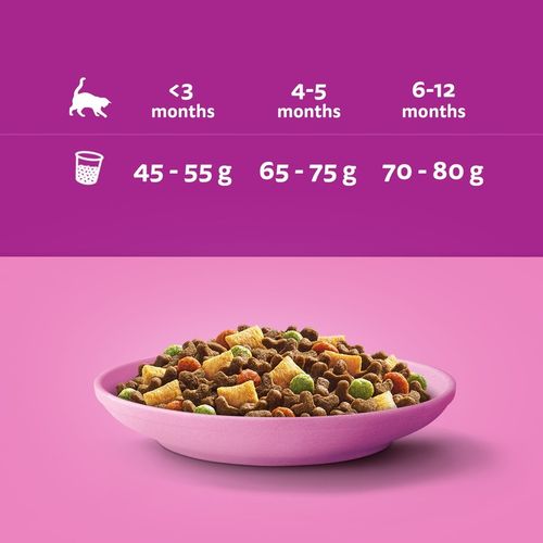 WHISKAS Junior sucha karma dla kociąt z kurczakiem 14 kg na Arena.pl