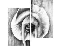 60X60CM BALETNICA CZERNI BIELI DWU OBRAZ ŚCIAN