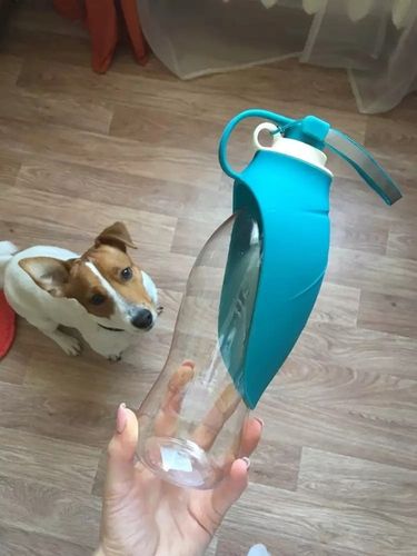 BUTELKA TURYSTYCZNA DLA PSA POIDŁO MISKA NA WODĘ PRZENOŚNA NA SPACER BIDON na Arena.pl