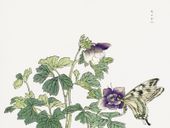 Plakat 40x30cm Motyl z Kwiatem Morimoto Toko Japoński Vintage do Salonu