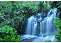 product-compare-62137609