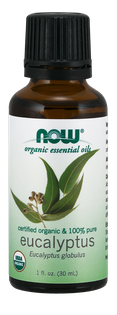Eukaliptus Globulus Oil, Organiczny 30ml Nowfoods