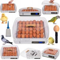 INKUBATOR KLUJNIK WYLĘGARKA JAJ WYLĘGU 35 JAJ