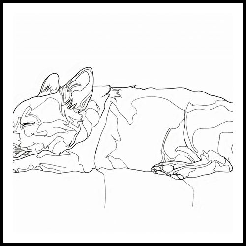 Plakat 100x100cm Śpiący Psiak na Arena.pl