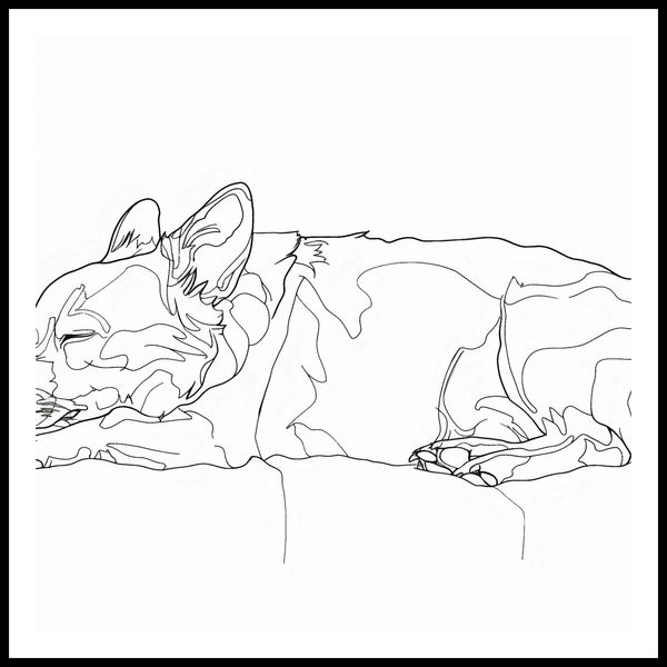 Plakat 100x100cm Śpiący Psiak zdjęcie 3