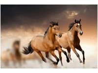 100 70CM OBRAZ PŁÓTNO STADO KONI PŁÓTNO RAMA