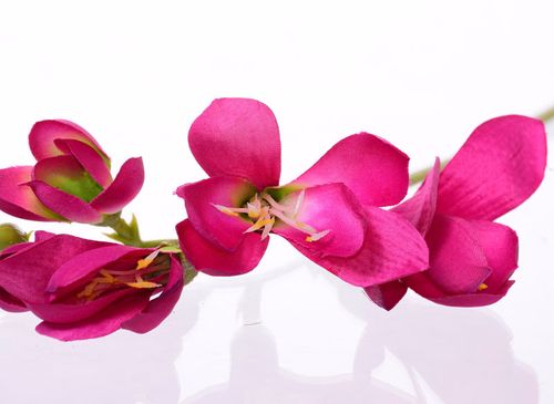 Frezja różowa 59cm na Arena.pl