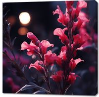 Obraz 100x100cm Wieczorny Blask