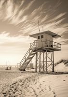 Plakat 59,4x84,1cm Strażnik Wydm