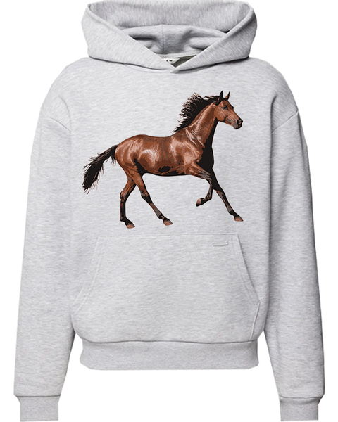 Bluza z kapturem Konie zdjęcie 1