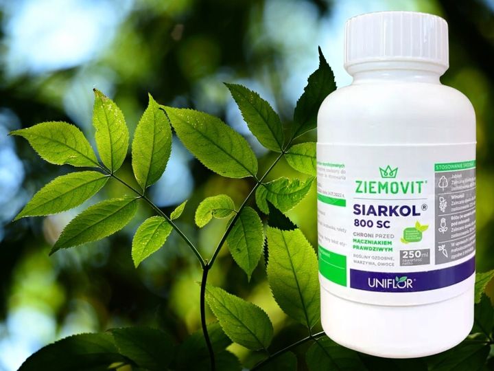 SIARKOL 800 SC SIARKA ŚRODEK GRZYBOBÓJCZY NA MĄCZNIAKA PRAWDZIWEGO 250ML zdjęcie 11