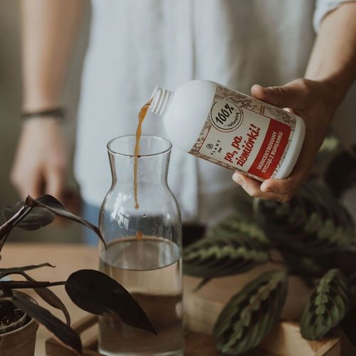 Pa, pa ziemiórki 500ml | Plant lover | na ziemiórki w roślinach| Plantlover na Arena.pl