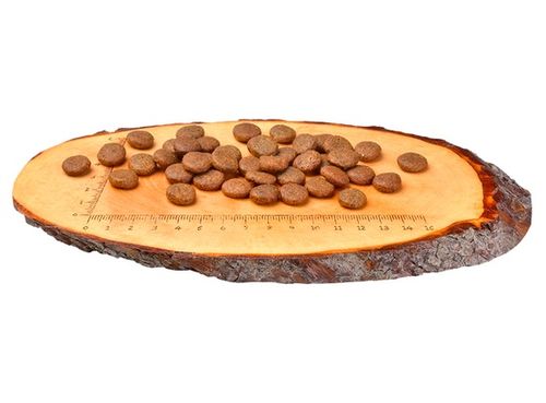 Zdrowa karma dla psa bez zbóż i ziemniaków - Carnilove Karp i Pstrąg 1,5kg na Arena.pl