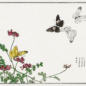 Plakat 100x100cm Motyle i Kwiaty Morimoto Toko Japoński Vintage do Salonu
