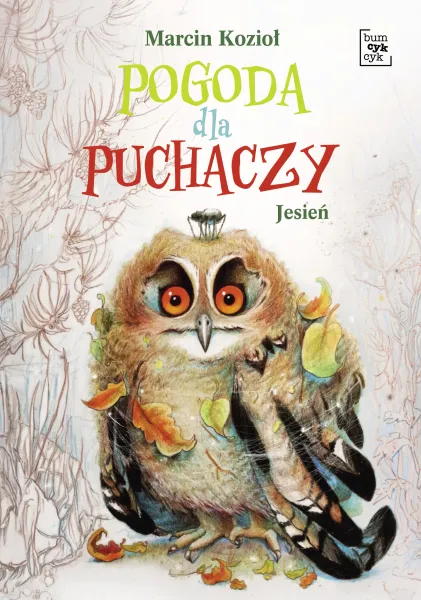 Pogoda dla puchaczy. Jesień zdjęcie 1