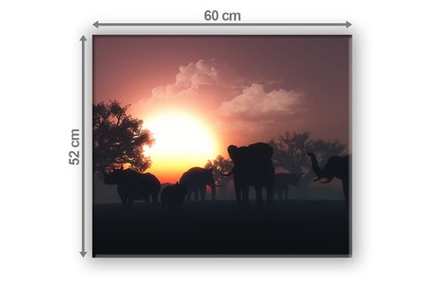 SZKLANA DESKA NA KUCHENKĘ 60x52 066A SŁONIE na Arena.pl