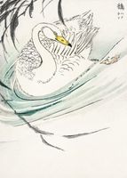 Plakat 50x70cm Wooper Swan, Kashu Japoński Vintage do Salonu