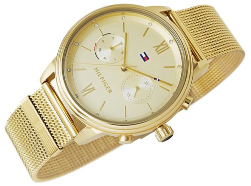 Zegarek Damski Tommy Hilfiger Blake 1782302 + BOX na Arena.pl