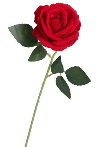 RÓŻA WELUROWA JAK ŻYWA SZTUCZNE KWIATY RÓŻE 50CM na Arena.pl