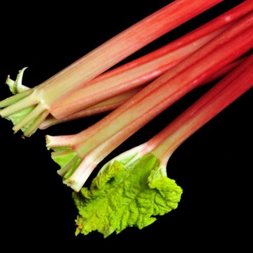 Yodeyma Linet Woda Perfumowana Dla Kobiet 100ml na Arena.pl