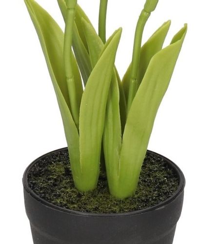 TULIPANY BUKIET TULIPANÓW KWIATY GUMOWE JAK ŻYWE na Arena.pl