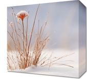 Obraz 30x30cm Zima w Detalach