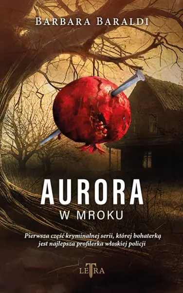 Aurora w mroku zdjęcie 1