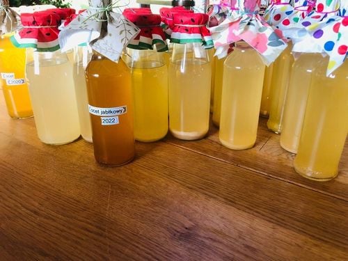 OCET JABŁKOWY NIEPASTERYZOWANY EKOLOGICZNY DOMOWY MATKA OCTOWA 500ml na Arena.pl