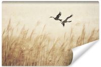 Fototapeta ŻURAWIE Ptaki Trawa Rośliny Pole Abstrakcja 368cm x 254cm