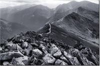 product-compare-58693569