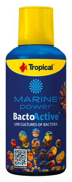 Tropical Bacto Active 250 ml- Bakterie zdjęcie 1
