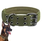Taktyczna zielona obroża dla psa regulowana dwurzędowa XL psów