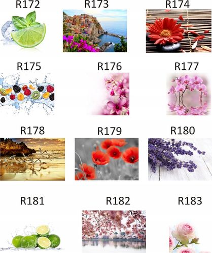 FOTOTAPETA rosliny KWIATY róże DUŻY WYBÓR WZORÓW na Arena.pl