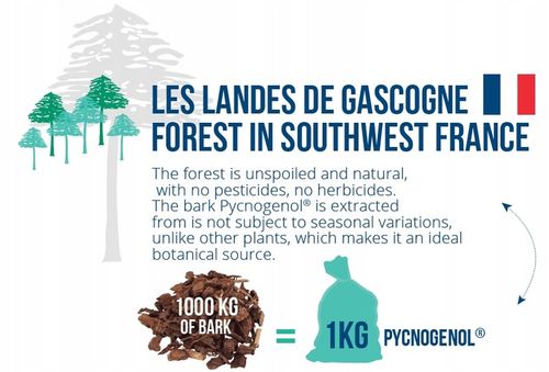 ALINESS Pycnogenol extract 65% 50 mg x 60 Vege na Arena.pl