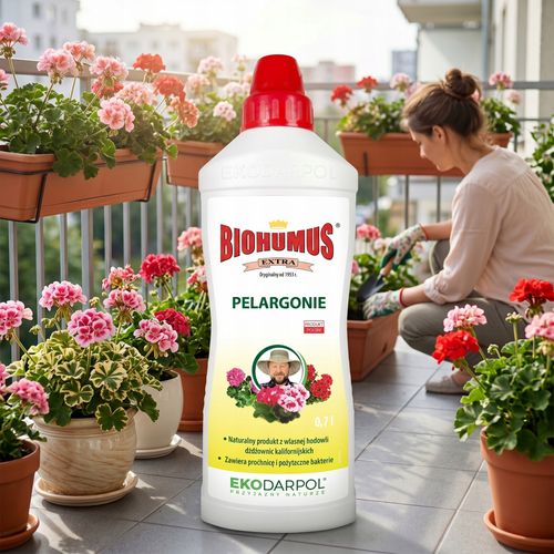 ekodarpol biohumus extra pelargonia 0,7l na Arena.pl
