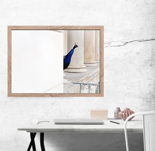Pawie Oko - plakat premium 80x60 cm na Arena.pl