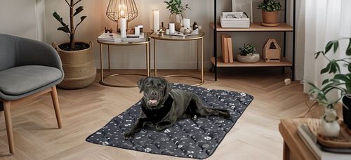 legowisko dla psa mata 120x80 cm wodoodporne kości srebrne na Arena.pl