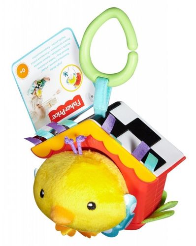 Ptaszek a kuku na Arena.pl