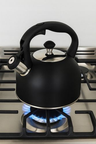 CZAJNIK INDUKCJA GAZ Z GWIZDKIEM TRADYCYJNY CZARNY MATOWY POJEMNY 2,5 L na Arena.pl