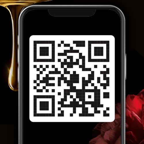 Syoss Oleo Farba do włosów czekolada brąz 4-86 x 2 na Arena.pl