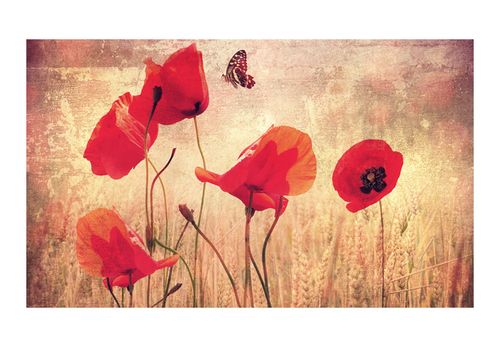 Fototapeta - Summer is coming 450x270 na Arena.pl