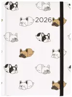Kalendarz 2026 B6 Dzienny, Psy