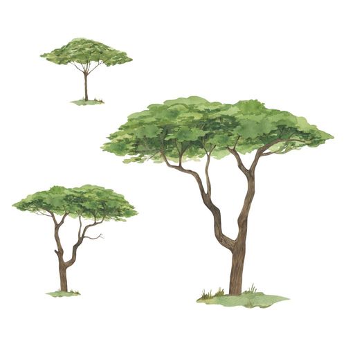 Naklejki Zestaw Drzewa DK425 L na Arena.pl